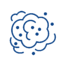 Environmental Allergies