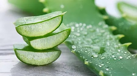 Aloe Vera: Calms irritation and helps repair stomach lining.