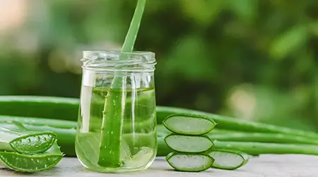 Aloe Vera: Apply fresh gel to soothe irritation.