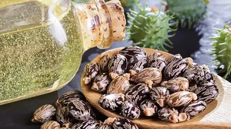 Castor Oil Massage: Thick oil deeply nourishes the scalp and promotes hair growth.