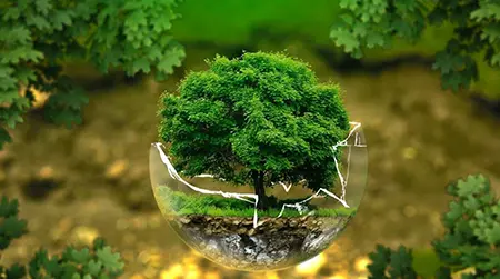 Clean Surroundings:  Reduces dust and allergen exposure 