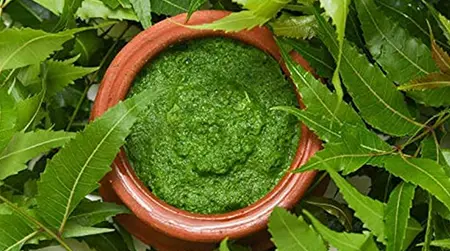 Neem Paste: Neem leaf paste helps fight bacteria and skin infection.