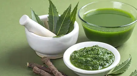 Neem Paste: Apply daily to reduce fungal growth.
