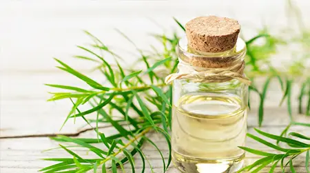 Tea Tree Oil: Natural antibacterial oil helps reduce acne-causing bacteria.