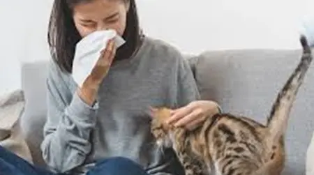 Pet (fur)  Allergy